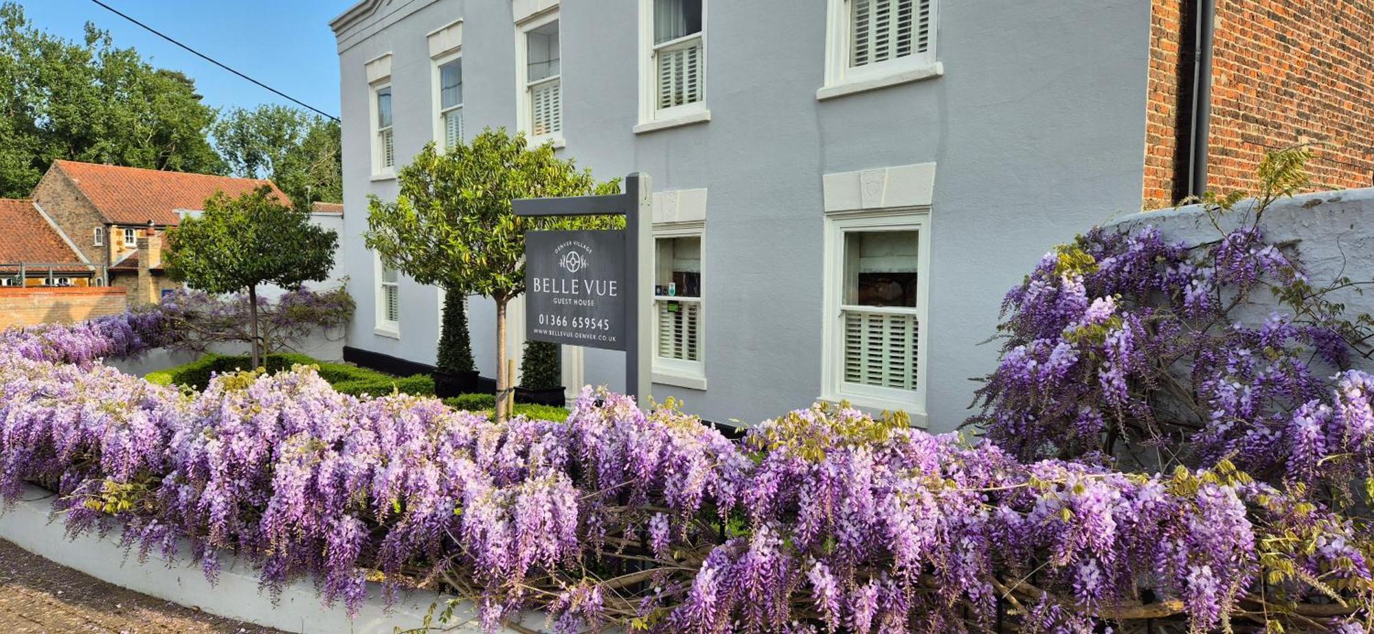 Belle Vue Guest House Denver Exteriör bild